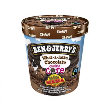 Ben & Jerry`s Chocolate Fudge Brownie (500ml)