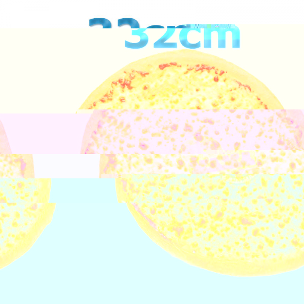 Pizza Margherita würzige Tomatensauce und geriebener Pizzakäse