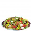 Roma Salat Tomate, Mozzarella, Zwiebeln Eisbergsalat und Roccula